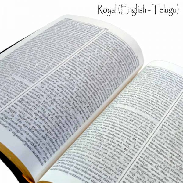 Telugu English Royal Diglot bible Korean Print with Leather By BSI | Telugu Bibles | Telugu Koran Print Bibles