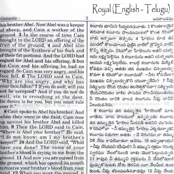 Telugu English Royal Diglot bible Korean Print with Leather By BSI | Telugu Bibles | Telugu Koran Print Bibles