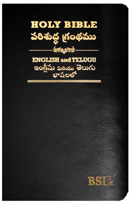 Telugu English Royal Diglot bible Korean Print with Leather By BSI | Telugu Bibles | Telugu Koran Print Bibles