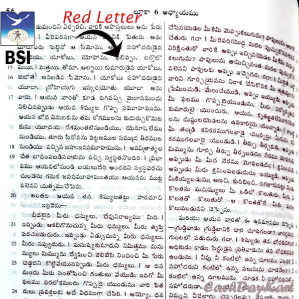 The Holy Bible Telugu (OV- NF)(Red Latter) – Classic Plus PL – Yaap RL – Leatherbound by BSI – Telugu Bibles