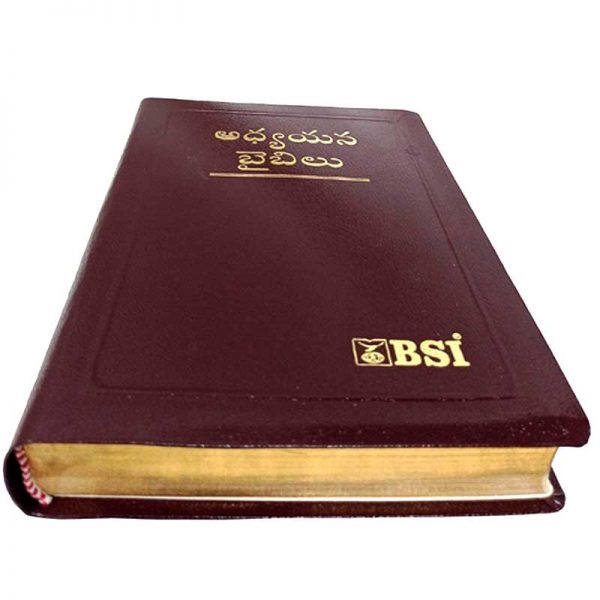 Telugu Study bible by the bible society of India Version - Telugu study Bibles