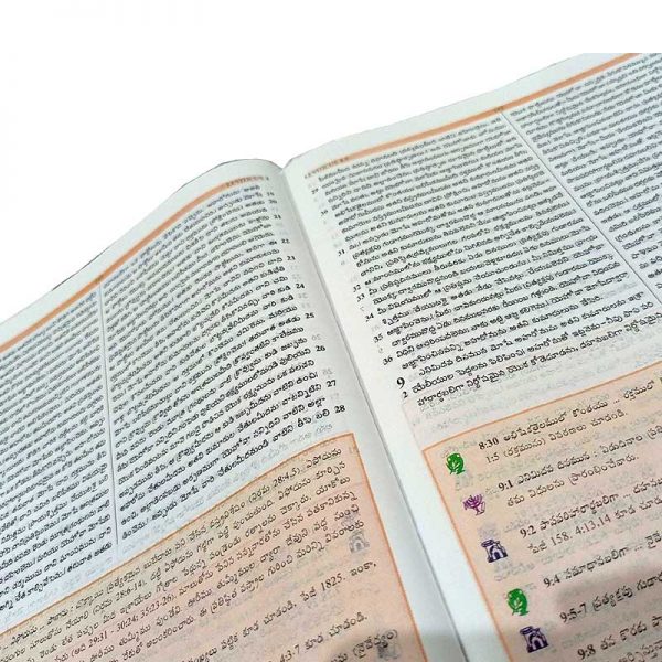 Telugu Study bible by the bible society of India Version - Telugu study Bibles