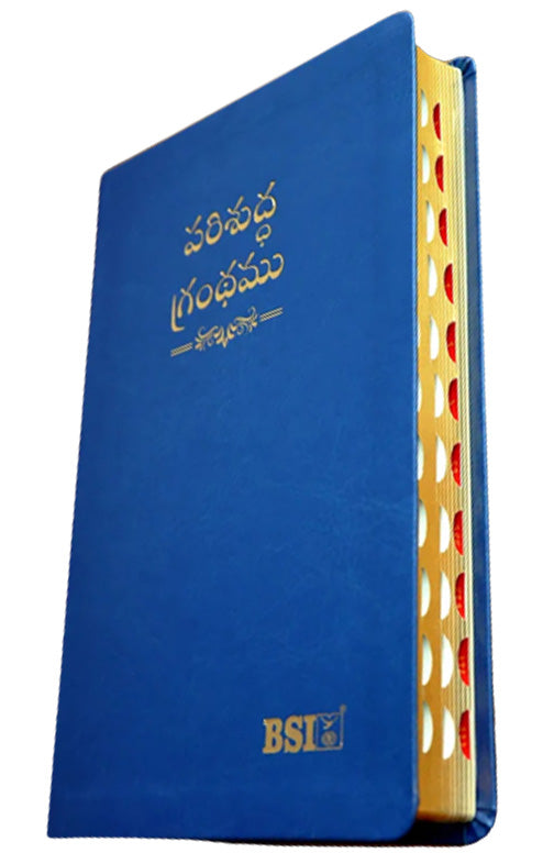 Telugu OV Gilt DY TI Blue PU Yaap | Telugu Bibles | Bibles in Telugu