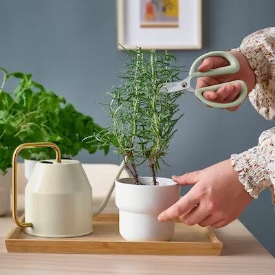 IKEA BRYTBONA Herb scissors, light green | IKEA Growing accessories | IKEA Plants & flowers | IKEA Decoration | Eachdaykart