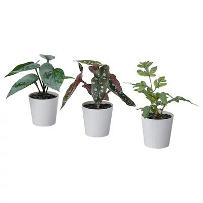 IKEA FEJKA Artifi potted plant w pot, set of 3, in/outdoor green | IKEA Artificial plants & flowers | IKEA Plants & flowers | IKEA Decoration | Eachdaykart