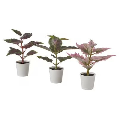 IKEA FEJKA Artifi potted plant w pot, set of 3, in/outdoor Painted nettle | IKEA Artificial plants & flowers | IKEA Plants & flowers | IKEA Decoration | Eachdaykart