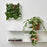 IKEA FEJKA Artificial plant, wall mounted/in/outdoor green/lilac | IKEA Artificial plants & flowers | IKEA Plants & flowers | IKEA Decoration | Eachdaykart