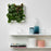 IKEA FEJKA Artificial plant, wall mounted/in/outdoor green/lilac | IKEA Artificial plants & flowers | IKEA Plants & flowers | IKEA Decoration | Eachdaykart