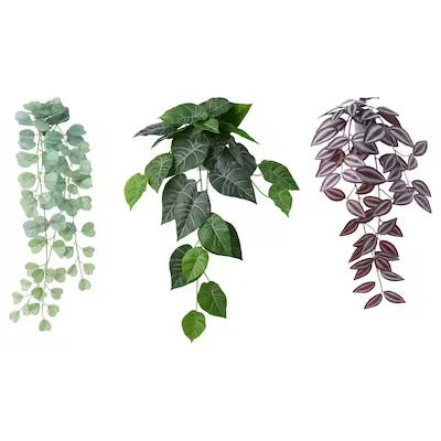IKEA FEJKA Artificial plant with wall holder, in/outdoor/green/lilac | IKEA Artificial plants & flowers | IKEA Plants & flowers | IKEA Decoration | Eachdaykart