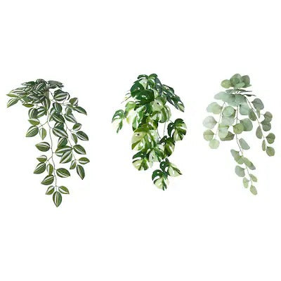 IKEA FEJKA Artificial plant with wall holder, in/outdoor/green | IKEA Artificial plants & flowers | IKEA Plants & flowers | IKEA Decoration | Eachdaykart