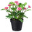 IKEA FEJKA Artificial potted plant, in/outdoor/Common daisy pink | IKEA Artificial plants & flowers | IKEA Plants & flowers | IKEA Decoration | Eachdaykart