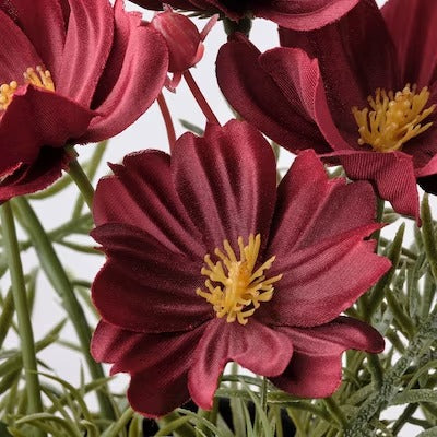IKEA FEJKA Artificial potted plant, in/outdoor/cosmos red | IKEA Artificial plants & flowers | IKEA Plants & flowers | IKEA Decoration | Eachdaykart