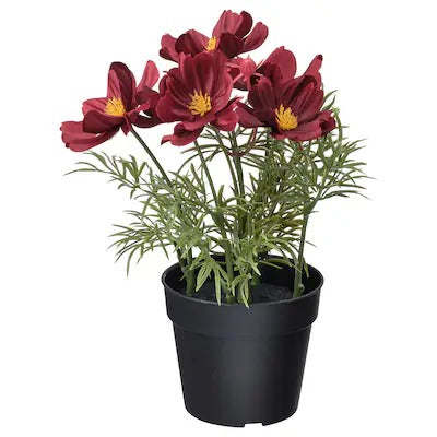 IKEA FEJKA Artificial potted plant, in/outdoor/cosmos red | IKEA Artificial plants & flowers | IKEA Plants & flowers | IKEA Decoration | Eachdaykart