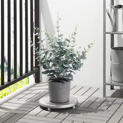 IKEA FEJKA Artificial potted plant, in/outdoor eucalyptus | IKEA Artificial plants & flowers | IKEA Plants & flowers | IKEA Decoration | Eachdaykart
