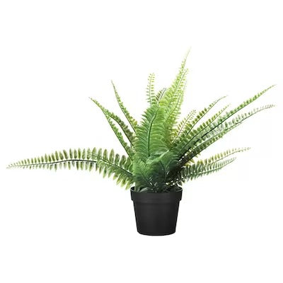 IKEA FEJKA Artificial potted plant, in/outdoor fern | IKEA Artificial plants & flowers | IKEA Plants & flowers | IKEA Decoration | Eachdaykart