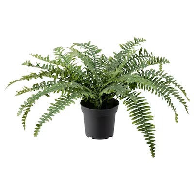 IKEA FEJKA Artificial potted plant, in/outdoor fern | IKEA Artificial plants & flowers | IKEA Plants & flowers | IKEA Decoration | Eachdaykart