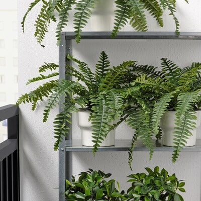 IKEA FEJKA Artificial potted plant, in/outdoor fern | IKEA Artificial plants & flowers | IKEA Plants & flowers | IKEA Decoration | Eachdaykart