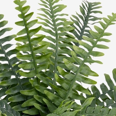 IKEA FEJKA Artificial potted plant, in/outdoor fern | IKEA Artificial plants & flowers | IKEA Plants & flowers | IKEA Decoration | Eachdaykart