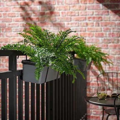 IKEA FEJKA Artificial potted plant, in/outdoor fern | IKEA Artificial plants & flowers | IKEA Plants & flowers | IKEA Decoration | Eachdaykart