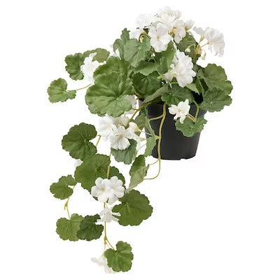IKEA FEJKA Artificial potted plant, in/outdoor Geranium/hanging white | IKEA Artificial plants & flowers | IKEA Plants & flowers | IKEA Decoration | Eachdaykart
