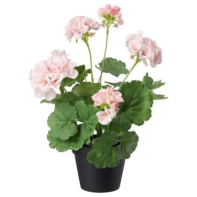 IKEA FEJKA Artificial potted plant, in/outdoor/Geranium pink | IKEA Artificial plants & flowers | IKEA Plants & flowers | IKEA Decoration | Eachdaykart