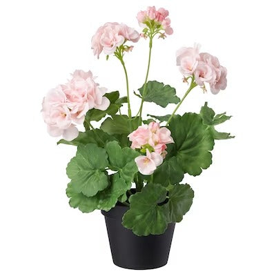 IKEA FEJKA Artificial potted plant, in/outdoor/Geranium pink | IKEA Artificial plants & flowers | IKEA Plants & flowers | IKEA Decoration | Eachdaykart