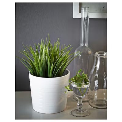 IKEA FEJKA Artificial potted plant, in/outdoor grass | IKEA Artificial plants & flowers | IKEA Plants & flowers | IKEA Decoration | Eachdaykart