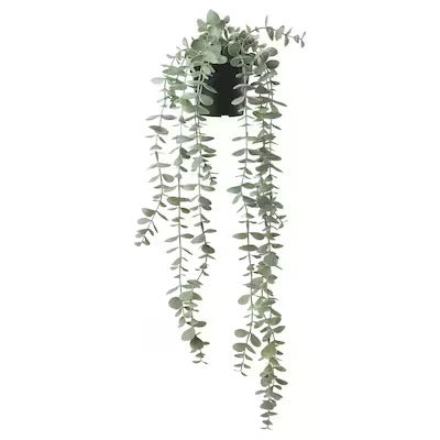 IKEA FFEJKA Artificial potted plant, in/outdoor hanging/eucalyptus | IKEA Artificial plants & flowers | IKEA Plants & flowers | IKEA Decoration | Eachdaykart