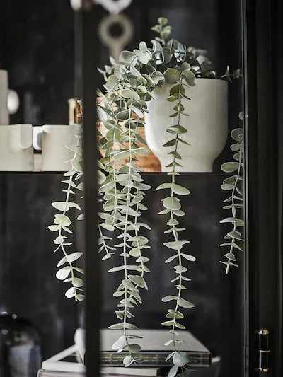 IKEA FFEJKA Artificial potted plant, in/outdoor hanging/eucalyptus | IKEA Artificial plants & flowers | IKEA Plants & flowers | IKEA Decoration | Eachdaykart