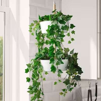IKEA FEJKA Artificial potted plant, in/outdoor/hanging Ivy | IKEA Artificial plants & flowers | IKEA Plants & flowers | IKEA Decoration | Eachdaykart