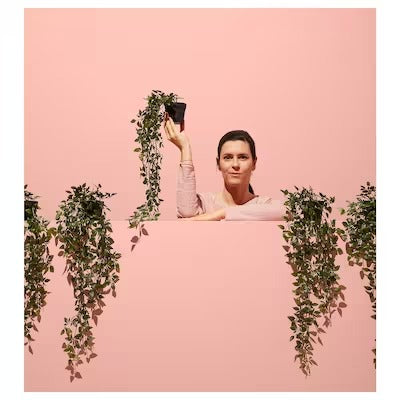 IKEA FEJKA Artificial potted plant, in/outdoor/hanging | IKEA Artificial plants & flowers | IKEA Plants & flowers | IKEA Decoration | Eachdaykart