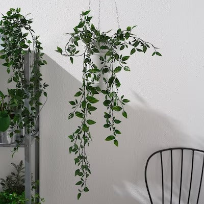 IKEA FEJKA Artificial potted plant, in/outdoor/hanging | IKEA Artificial plants & flowers | IKEA Plants & flowers | IKEA Decoration | Eachdaykart