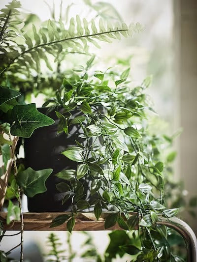 IKEA FEJKA Artificial potted plant, in/outdoor/hanging | IKEA Artificial plants & flowers | IKEA Plants & flowers | IKEA Decoration | Eachdaykart