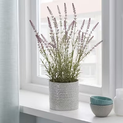 IKEA FEJKA Artificial potted plant, in/outdoor/Lavender lilac| IKEA Artificial plants & flowers | IKEA Plants & flowers | IKEA Decoration | Eachdaykart
