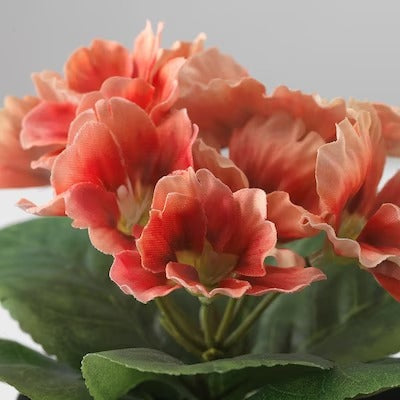 IKEA FEJKA Artificial potted plant, in/outdoor/primula orange | IKEA Artificial plants & flowers | IKEA Plants & flowers | IKEA Decoration | Eachdaykart