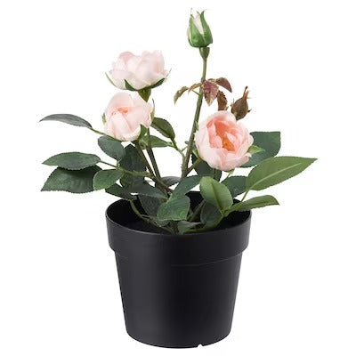 IKEA FEJKA Artificial potted plant, in/outdoor/Rose pink | IKEA Artificial plants & flowers | IKEA Plants & flowers | IKEA Decoration | Eachdaykart