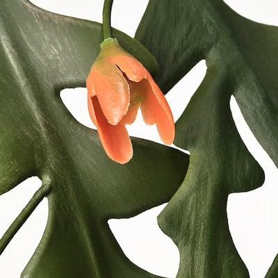 IKEA FEJKA Artificial potted plant, in/outdoor/Sawcactus hanging | IKEA Artificial plants & flowers | IKEA Plants & flowers | IKEA Decoration | Eachdaykart