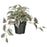 IKEA FEJKA Artificial potted plant, in/outdoor Spiderwort | IKEA Artificial plants & flowers | IKEA Plants & flowers | IKEA Decoration | Eachdaykart