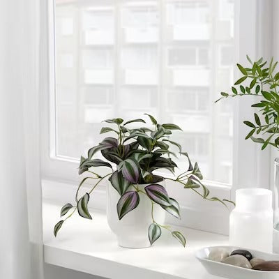 IKEA FEJKA Artificial potted plant, in/outdoor Spiderwort | IKEA Artificial plants & flowers | IKEA Plants & flowers | IKEA Decoration | Eachdaykart