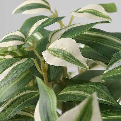 IKEA FEJKA Artificial potted plant, in/outdoor/tradescantia zebrina | IKEA Artificial plants & flowers | IKEA Plants & flowers | IKEA Decoration | Eachdaykart
