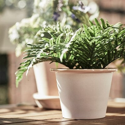 IKEA FEJKA Artificial potted plant, in/outdoor Whitley Giant | IKEA Artificial plants & flowers | IKEA Plants & flowers | IKEA Decoration | Eachdaykart