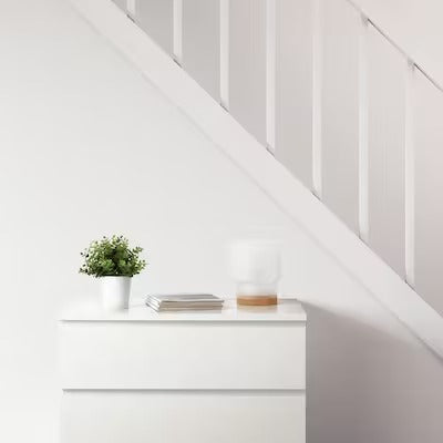 IKEA FEJKA Artificial potted plant, oregano | IKEA Artificial plants & flowers | IKEA Plants & flowers | IKEA Decoration | Eachdaykart