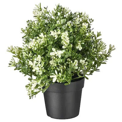IKEA FEJKA Artificial potted plant, thyme | IKEA Artificial plants & flowers | IKEA Plants & flowers | IKEA Decoration | Eachdaykart