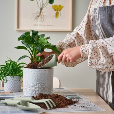 IKEA GRASMARO 3-piece gardening set, in/outdoor light green | IKEA Growing accessories | IKEA Plants & flowers | IKEA Decoration | Eachdaykart