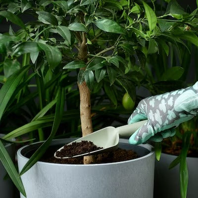 IKEA GRASMARO 3-piece gardening set, in/outdoor light green | IKEA Growing accessories | IKEA Plants & flowers | IKEA Decoration | Eachdaykart