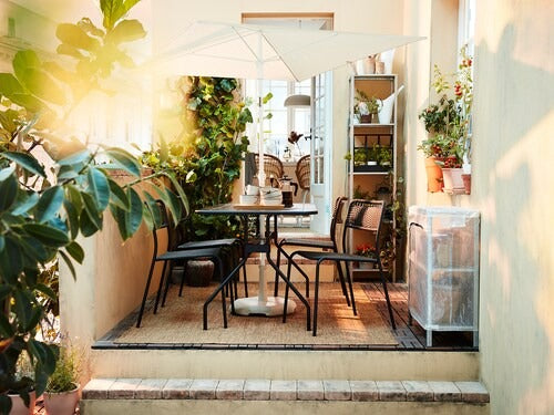 IKEA HYLLIS Shelving unit with cover, transparent | IKEA Growing accessories | IKEA Plants & flowers | IKEA Decoration | Eachdaykart