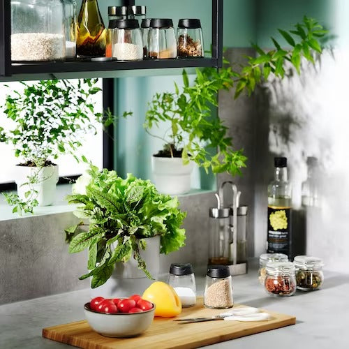 IKEA 365+ IHARDIG Spice jar, glass/black, | Spice & condiment stands | Storage & organisation | Eachdaykart