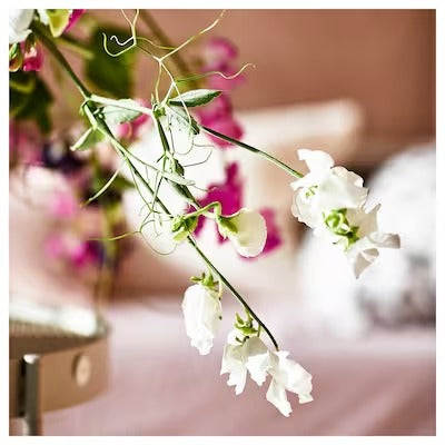 IKEA Jamnmod Scented potpourri  Sweet pea purple