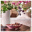 IKEA JAMNMOD Scented potpourri, Sweet pea/purple | IKEA Dried plants & potpourri | IKEA Plants & flowers | IKEA Decoration | Eachdaykart