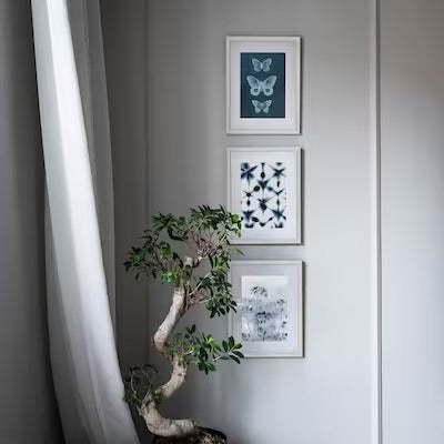 IKEA KNOPPANG Frame, white | IKEA Picture & photo frames | IKEA Frames & pictures | Eachdaykart